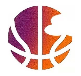 Sport Score Platform Logo